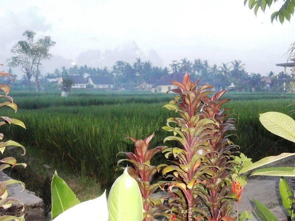 Shriman Yoga Bungalows 乌布 酒店