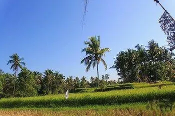 ** Hotel Shriman Yoga Bungalows Ubud Indonésie