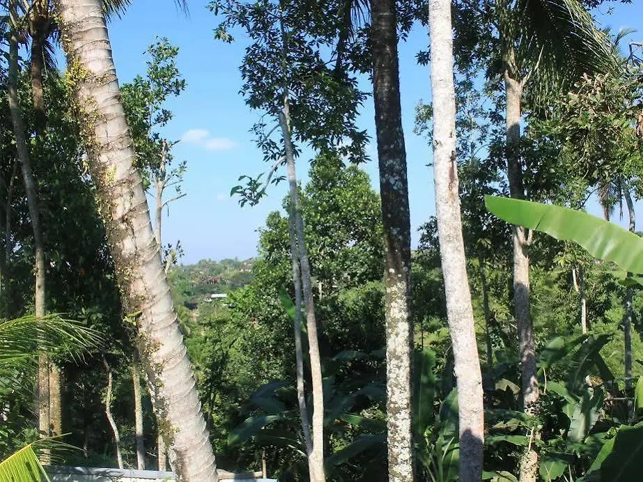 Shriman Yoga Bungalows Ubud Hotel