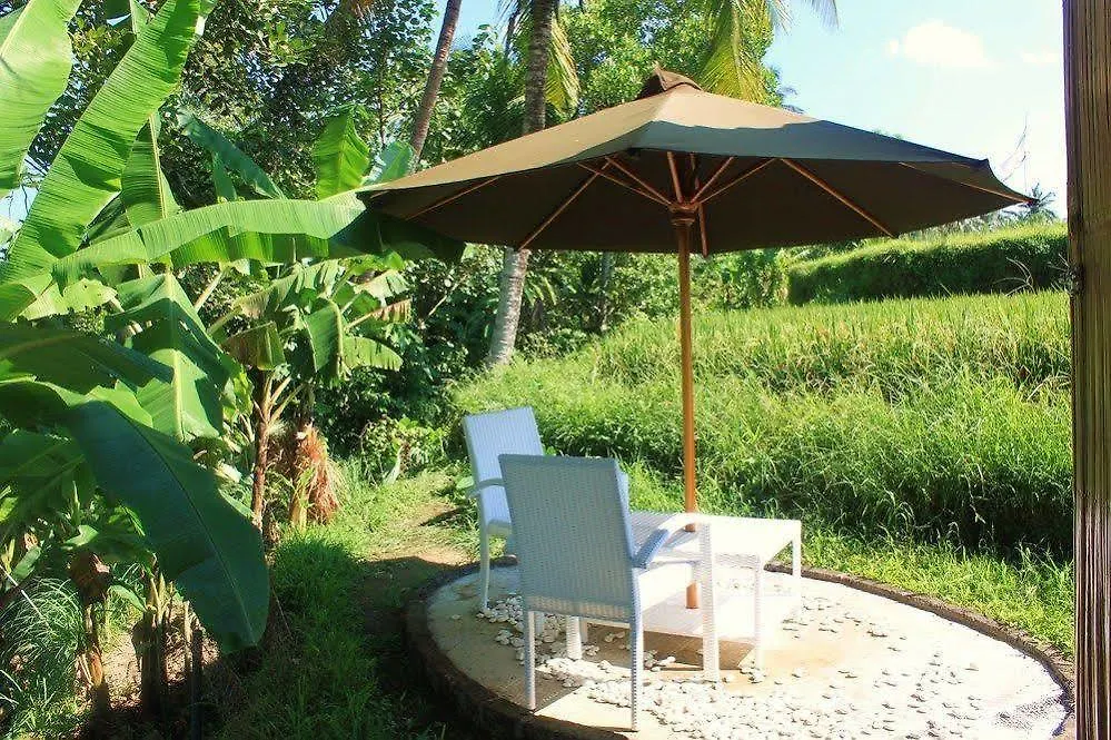 Hotel Shriman Yoga Bungalows Ubud
